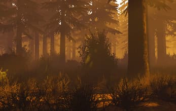 PSX Nature