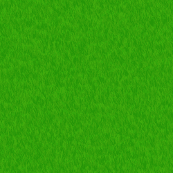 Seamless Grass Texture II