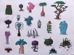 Odd plants