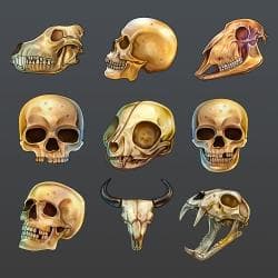 Skull Game Icons